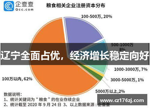 辽宁全面占优，经济增长稳定向好